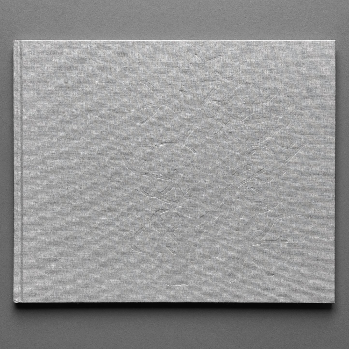 Clare Richardson - Beyond the Forest
