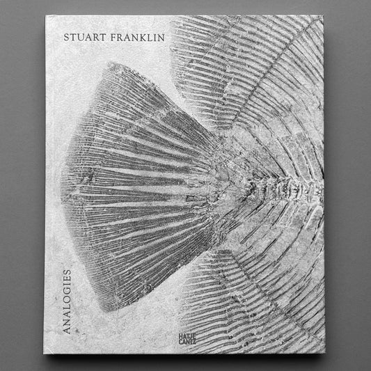 Stuart Franklin - Analogies