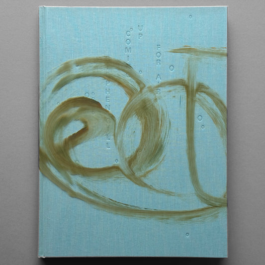 Stephen Gill - Coming Up For Air (signed)