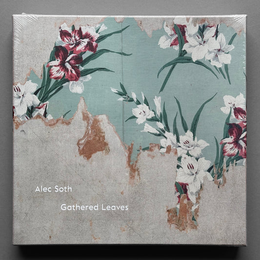Alec Soth - Gathered Leaves