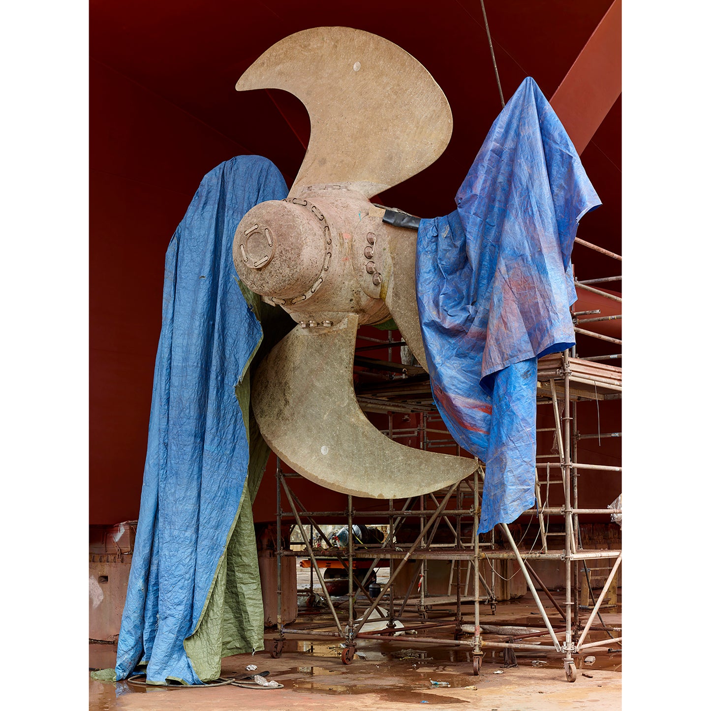 Fashion (PRESALE, signed)